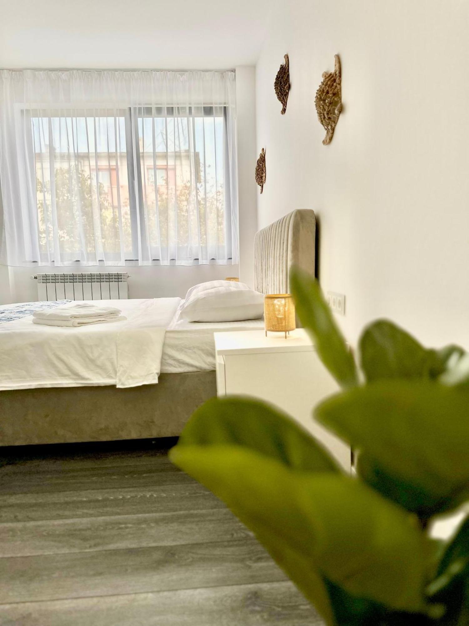 Amos Apartment-Ultracentral-Free Parking Клуж-Напока Екстер'єр фото