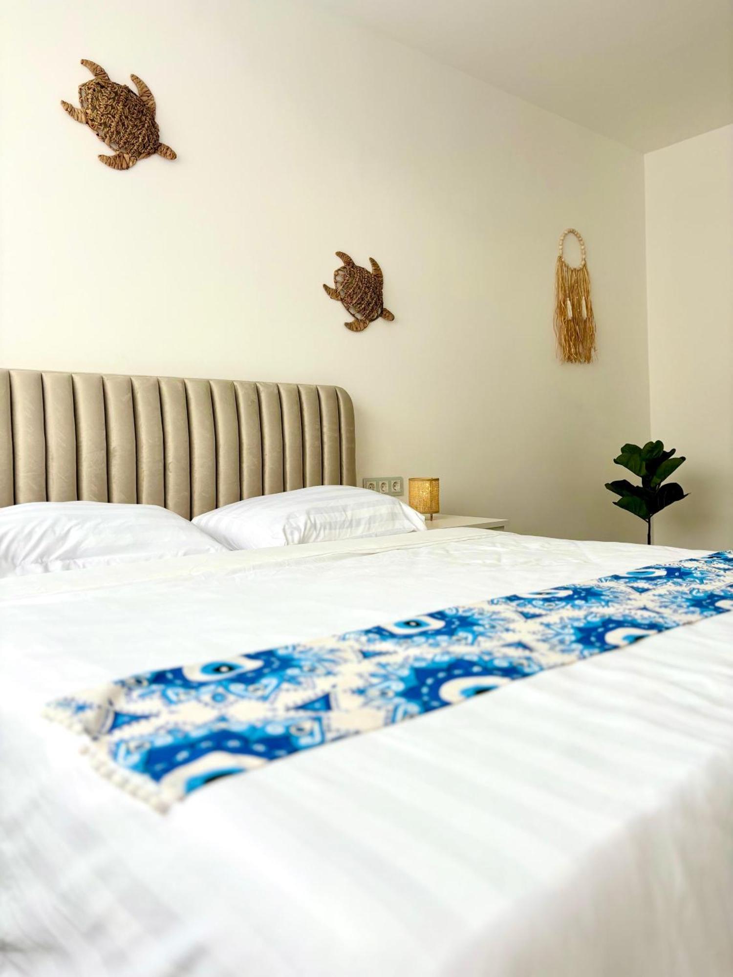 Amos Apartment-Ultracentral-Free Parking Клуж-Напока Екстер'єр фото